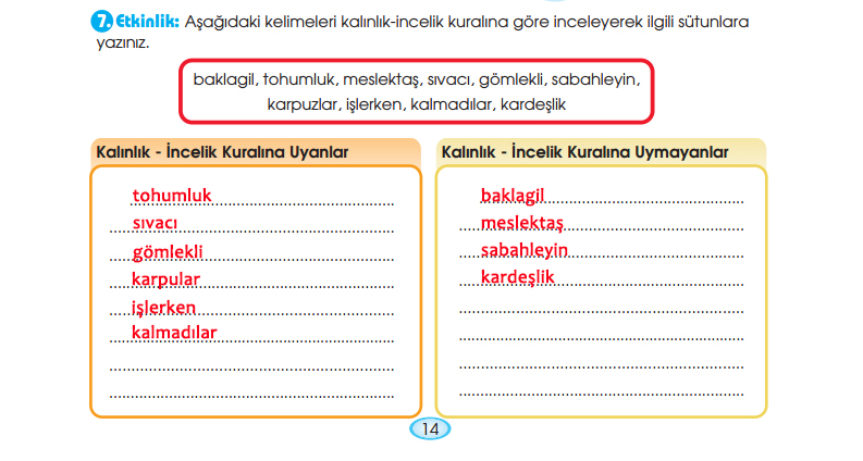 Kütüphane Metni Etkinlik Cevapları 6. Sınıf Türkçe MEB Yayınları